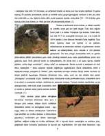 Research Papers 'Aktīva pasākuma projekts Abruco Nacionālajā parkā Itālijā', 9.