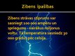 Presentations 'Zibens', 4.