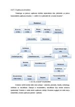 Research Papers 'Uzņēmuma AS "Dzintars" organizatoriskās struktūras konversija', 12.