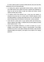 Research Papers 'Uzņēmuma AS "Dzintars" organizatoriskās struktūras konversija', 27.