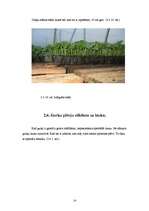Practice Reports 'Lauksaimniecības prakses atskaite', 14.