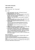 Summaries, Notes 'Prakse II sākumskola 1.-3.kl', 11.