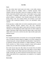 Research Papers 'Kara lietas', 1.