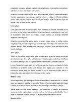 Research Papers 'Kara lietas', 3.