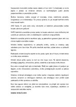 Research Papers 'Kara lietas', 23.