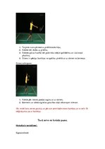 Summaries, Notes 'Badmintona mācīšana un pilnveidošana', 10.