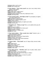 Samples 'Portfolio, metodiskā mape', 4.