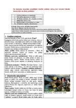 Samples 'Portfolio, metodiskā mape', 6.