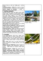 Samples 'Portfolio, metodiskā mape', 7.