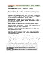 Samples 'Portfolio, metodiskā mape', 9.