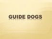 Presentations 'Guide Dogs', 1.