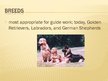 Presentations 'Guide Dogs', 8.