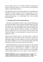 Term Papers 'Dziļviltojumu izmantošana politiskajās kampaņās', 6.