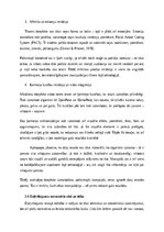 Term Papers 'Dziļviltojumu izmantošana politiskajās kampaņās', 13.