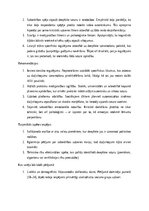 Term Papers 'Dziļviltojumu izmantošana politiskajās kampaņās', 28.