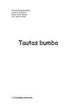 Summaries, Notes 'Tautas bumba', 1.