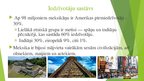 Presentations 'Meksika - valsts Ziemeļamerikā', 12.