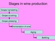 Presentations 'Winemaking', 5.
