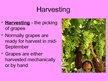 Presentations 'Winemaking', 6.