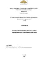 Research Papers 'Finanšu analīze. Autotransporta detaļu un piederumu ražotnes izveide', 1.
