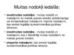 Presentations 'Muitas nodoklis', 4.