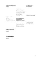 Samples 'Treniņu sagatavošanas plāns 2012.-2013.gadam', 7.