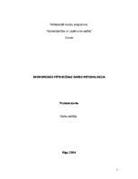 Practice Reports 'Ekonomiskās pētniecības darba metodoloģija', 1.