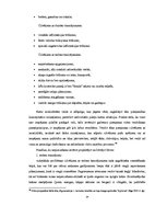 Term Papers 'Sporta klubu interjera funkcionālie un konceptuālie aspekti', 24.