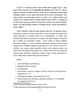 Term Papers 'Sporta klubu interjera funkcionālie un konceptuālie aspekti', 61.