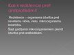 Presentations 'Antibiotikas un rezistence pret tām', 5.
