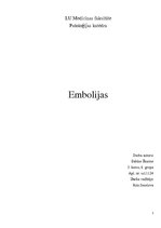 Summaries, Notes 'Embolija', 1.