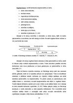 Term Papers 'Uzņēmuma darbinieku motivācijas sistēmas analīze un uzlabošana', 24.
