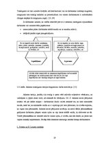 Term Papers 'Uzņēmuma darbinieku motivācijas sistēmas analīze un uzlabošana', 29.
