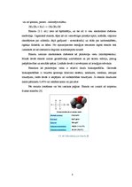 Research Papers 'Spirta ražošanas tehnoloģiskais process un iekārtas', 8.