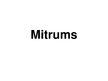 Presentations 'Mitrums', 1.