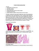 Summaries, Notes 'Dzemdes endometrija hiperplāzija', 1.