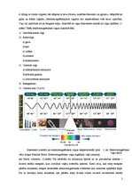 Research Papers 'Elektromagnētisko vļņu izmantošana medicīnā', 3.