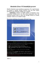 Summaries, Notes 'Mandrake Linux 9.0 instalācijas procesa tulkojums un palīgs iesācējiem', 1.