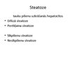 Presentations 'Steatoze. Fibroze. Ciroze. HVC', 9.
