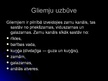 Presentations 'Gliemju klase', 4.