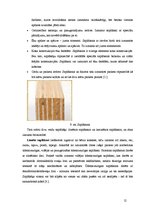 Research Papers 'Koka ēkas un to materiāli', 12.