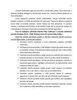 Research Papers 'Sabiedrisko attiecību profesionālā ētika un starptautiskie ētikas kodeksi', 5.