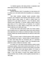 Term Papers 'Labdarības organizācijas "Ziedot.lv" komunikācijas stratēģija', 15.