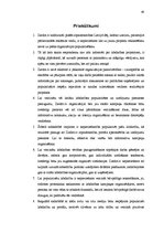 Term Papers 'Labdarības organizācijas "Ziedot.lv" komunikācijas stratēģija', 48.