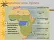 Presentations 'Природные зоны Африки', 4.