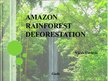 Presentations 'Amazon Rainforest Deforestation', 1.