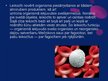 Presentations 'Asinsrite, asinsrites sistēma', 25.