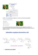 Research Papers 'Alkaloīdu biosintēze augos', 8.