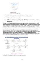 Research Papers 'Alkaloīdu biosintēze augos', 10.