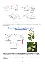 Research Papers 'Alkaloīdu biosintēze augos', 12.